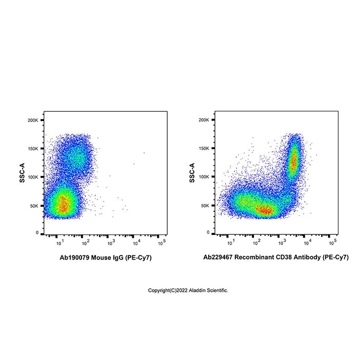 Recombinant CD38 Antibody (PE-Cy7) -    by Aladdin Scientific