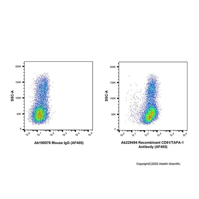 Recombinant CD81/TAPA-1 Antibody (AF405) -    by Aladdin Scientific