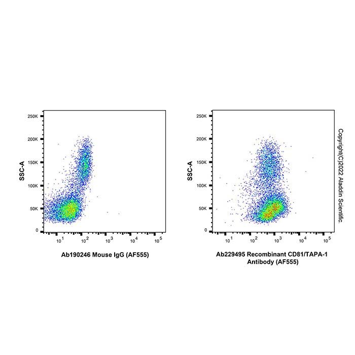 Recombinant CD81/TAPA-1 Antibody (AF555) -    by Aladdin Scientific