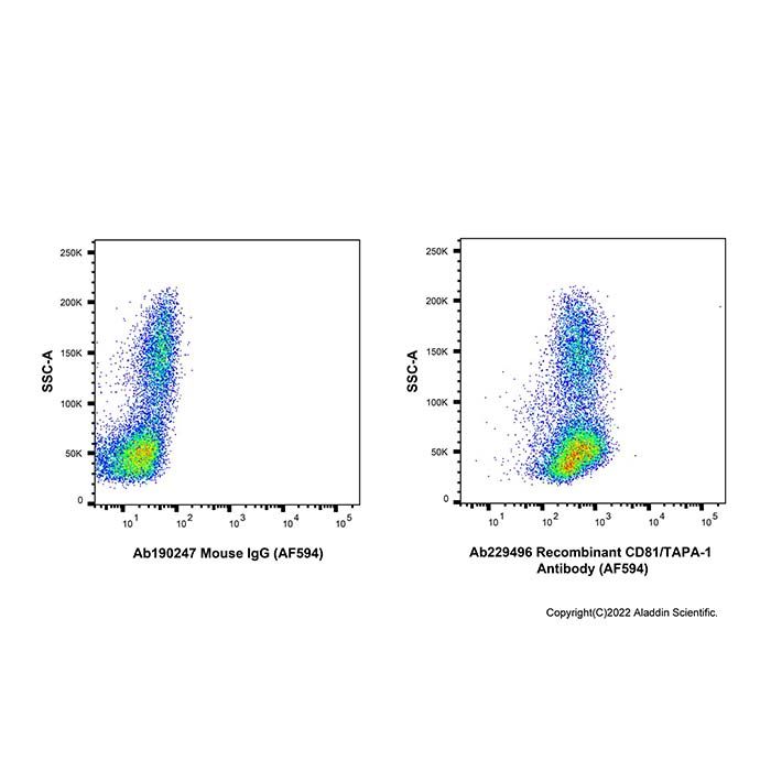 Recombinant CD81/TAPA-1 Antibody (AF594) -    by Aladdin Scientific