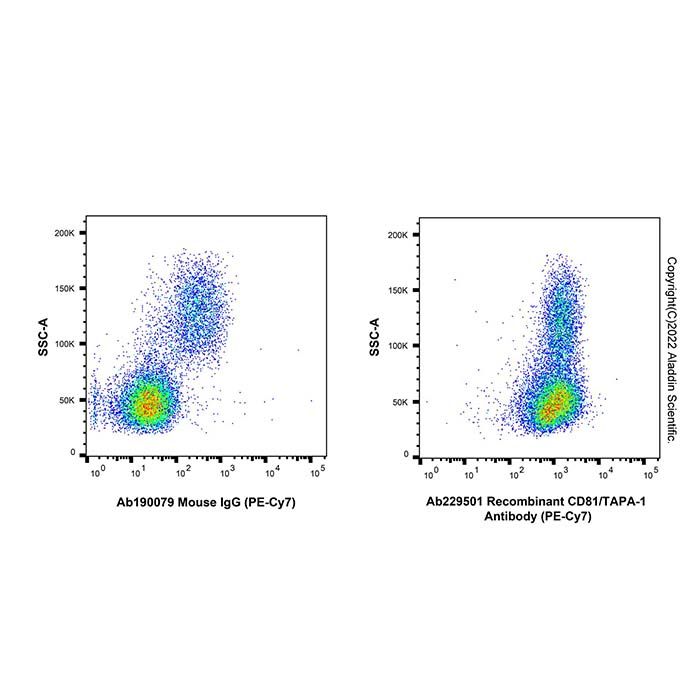 Recombinant CD81/TAPA-1 Antibody (PE-Cy7) -    by Aladdin Scientific