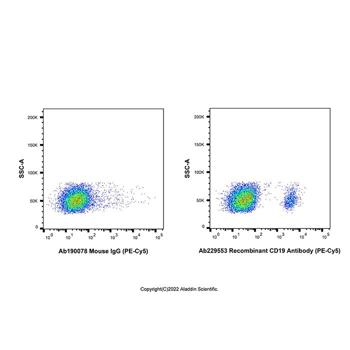 Recombinant CD19 Antibody (PE-Cy5) -    Ab229553 by Aladdin Scientific