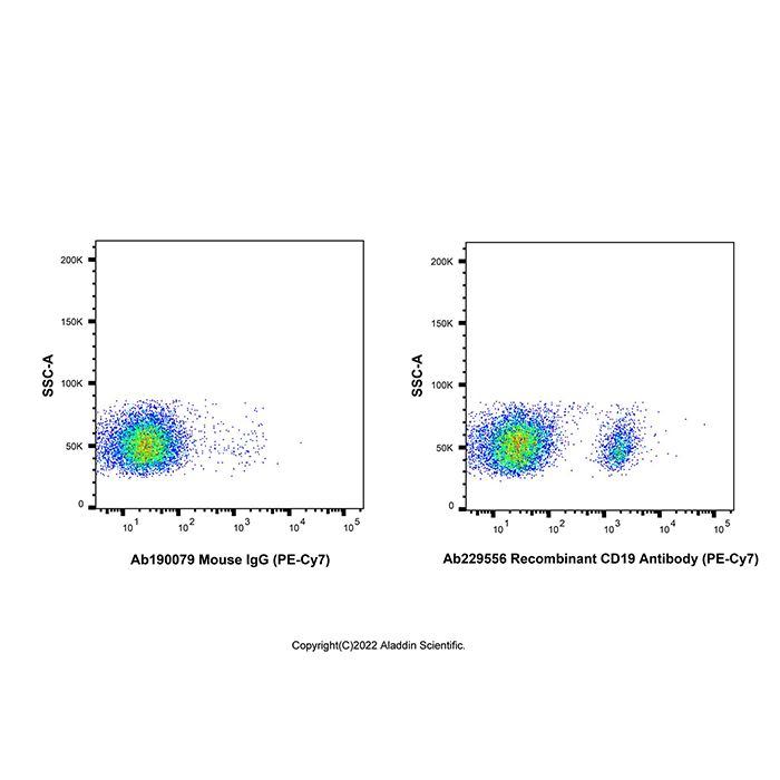 Recombinant CD19 Antibody (PE-Cy7) -    Ab229556 by Aladdin Scientific