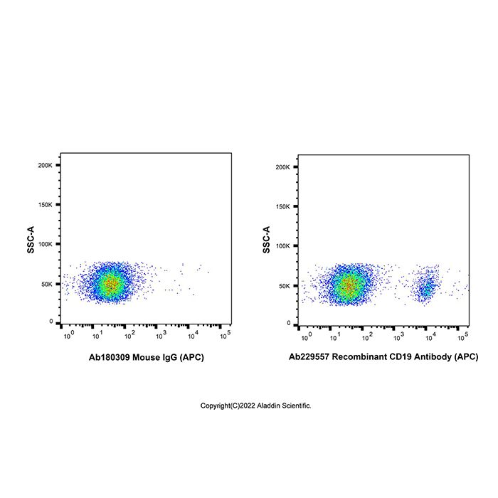 Recombinant CD19 Antibody (APC) -    Ab229557 by Aladdin Scientific