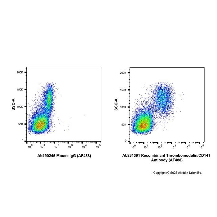 Recombinant Thrombomodulin/CD141 Antibody (AF488)  -    by Aladdin Scientific