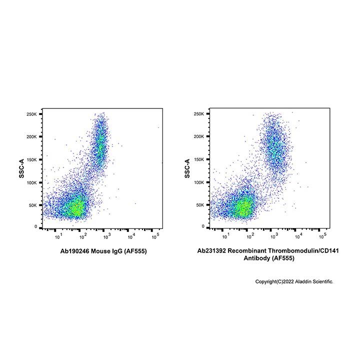Recombinant Thrombomodulin/CD141 Antibody (AF555)  -    by Aladdin Scientific