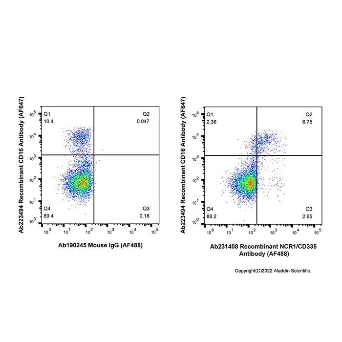 Recombinant NCR1/CD335 Antibody (AF488) -    by Aladdin Scientific