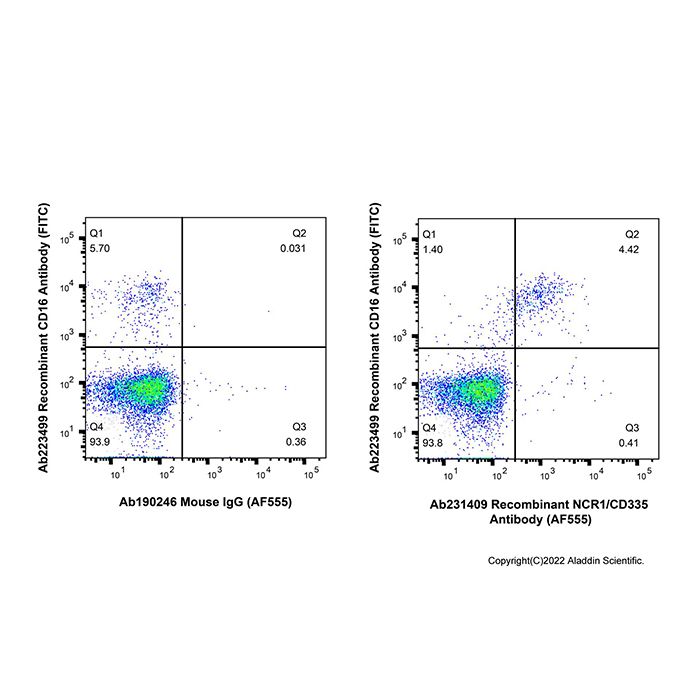 Recombinant NCR1/CD335 Antibody (AF555) -    by Aladdin Scientific