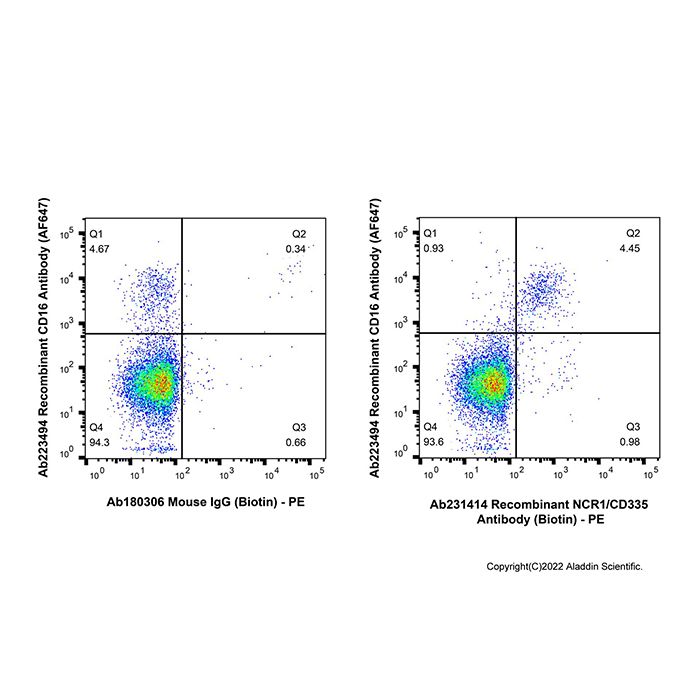 Recombinant NCR1/CD335 Antibody (Biotin) -    by Aladdin Scientific