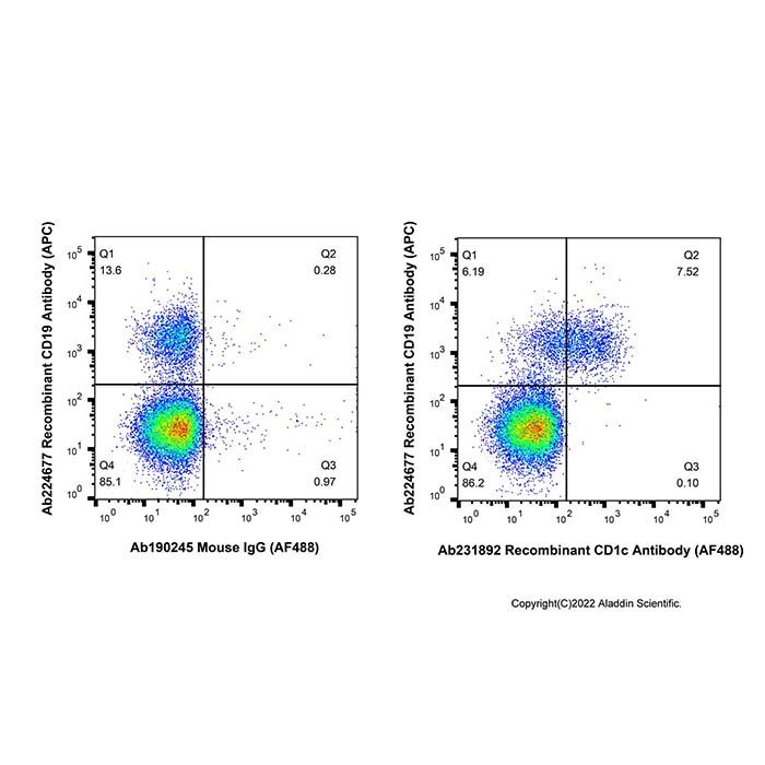 Recombinant CD1c Antibody (AF488) -    by Aladdin Scientific