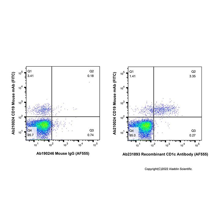 Recombinant CD1c Antibody (AF555) -    by Aladdin Scientific
