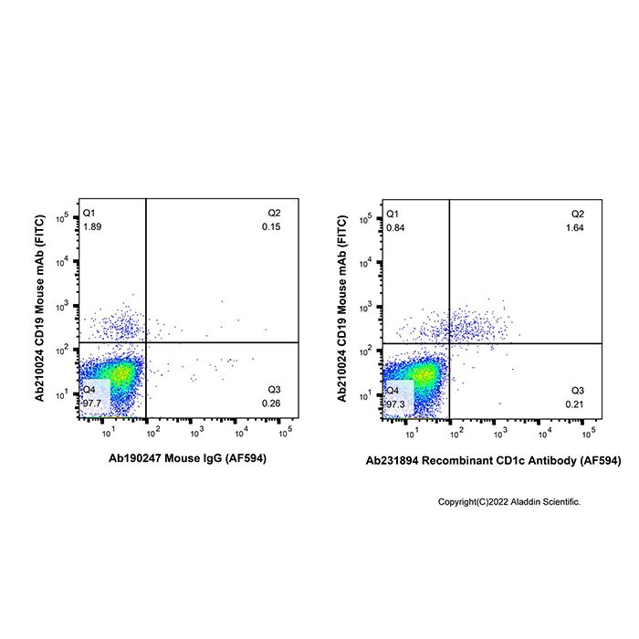 Recombinant CD1c Antibody (AF594) -    by Aladdin Scientific