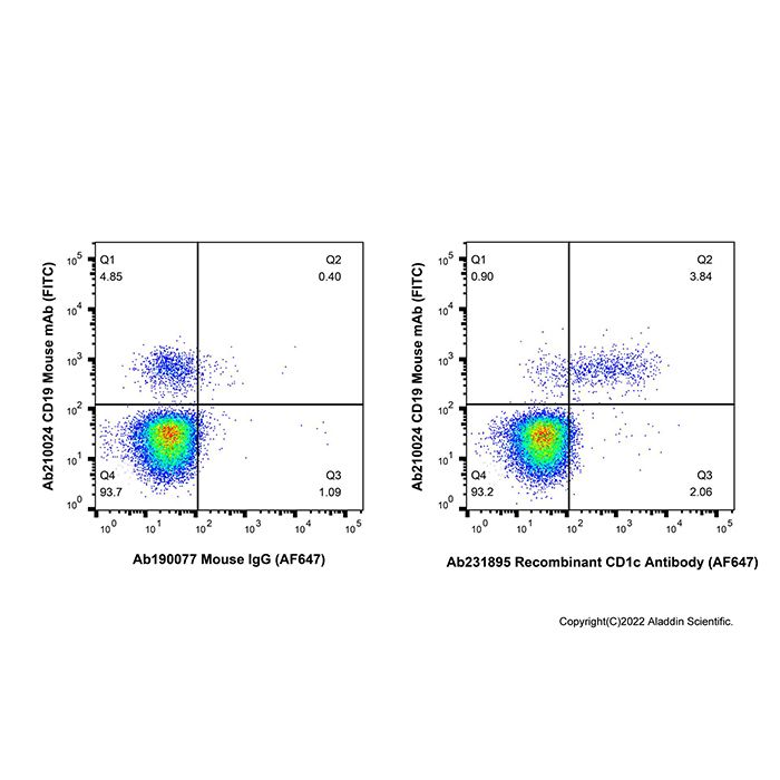 Recombinant CD1c Antibody (AF647) -    by Aladdin Scientific