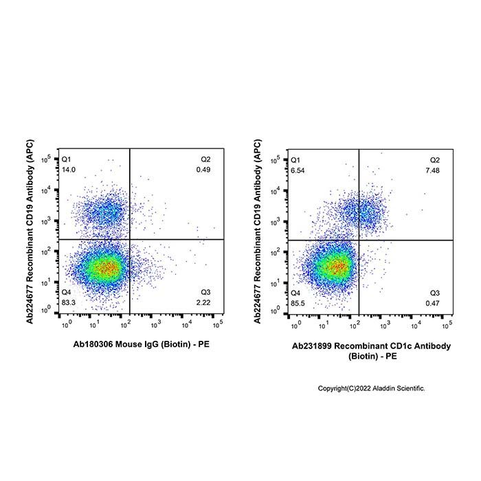 Recombinant CD1c Antibody (Biotin) -    by Aladdin Scientific
