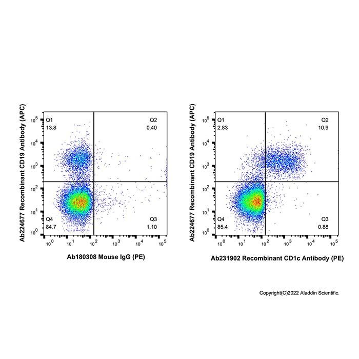 Recombinant CD1c Antibody (PE)  -    by Aladdin Scientific