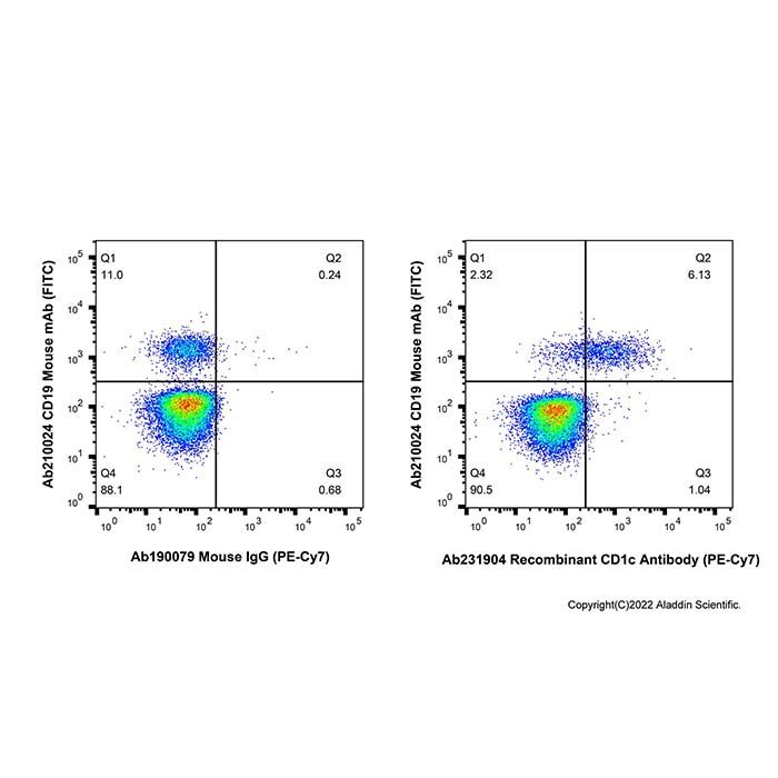 Recombinant CD1c Antibody (PE-Cy7)  -    by Aladdin Scientific