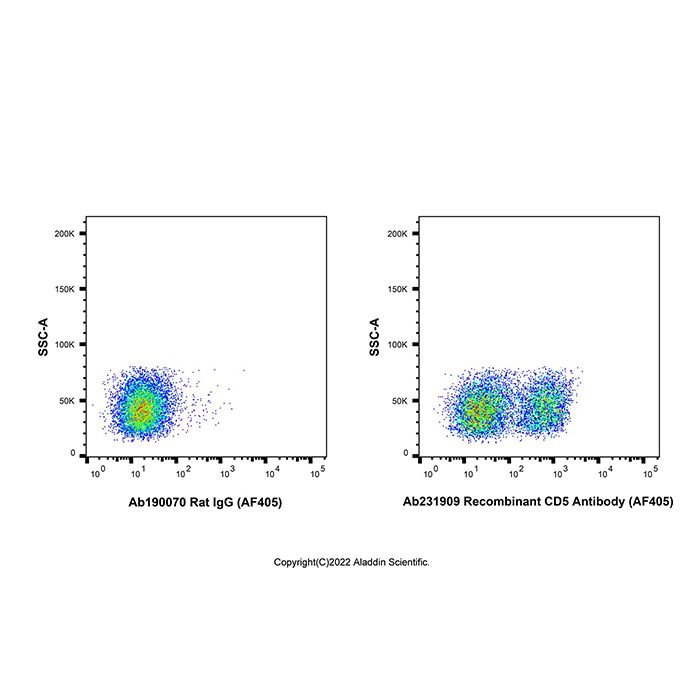 Recombinant CD5 Antibody (AF405) -    by Aladdin Scientific
