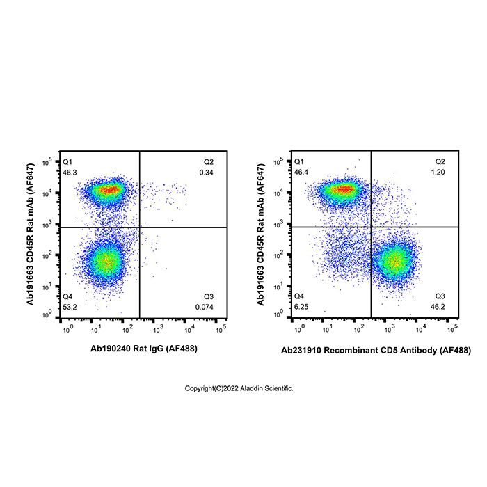 Recombinant CD5 Antibody (AF488) -    by Aladdin Scientific