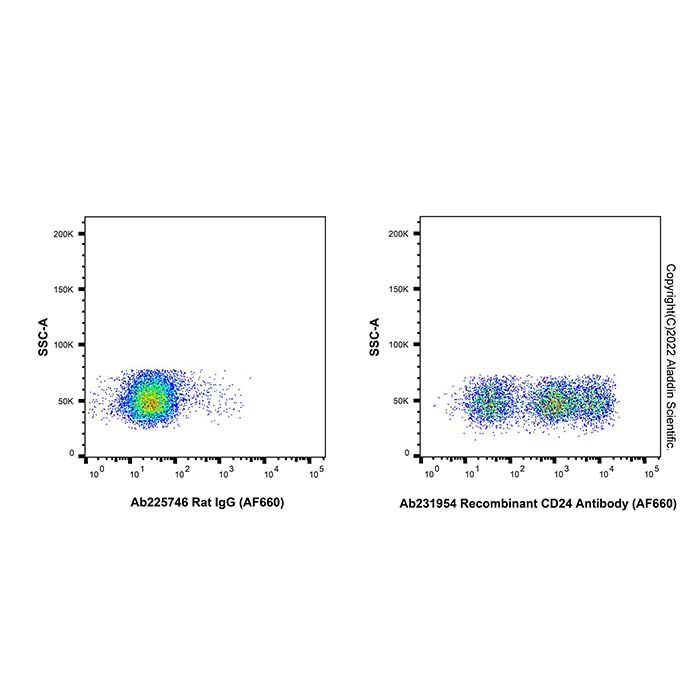 Recombinant CD24 Antibody (AF660) -    by Aladdin Scientific