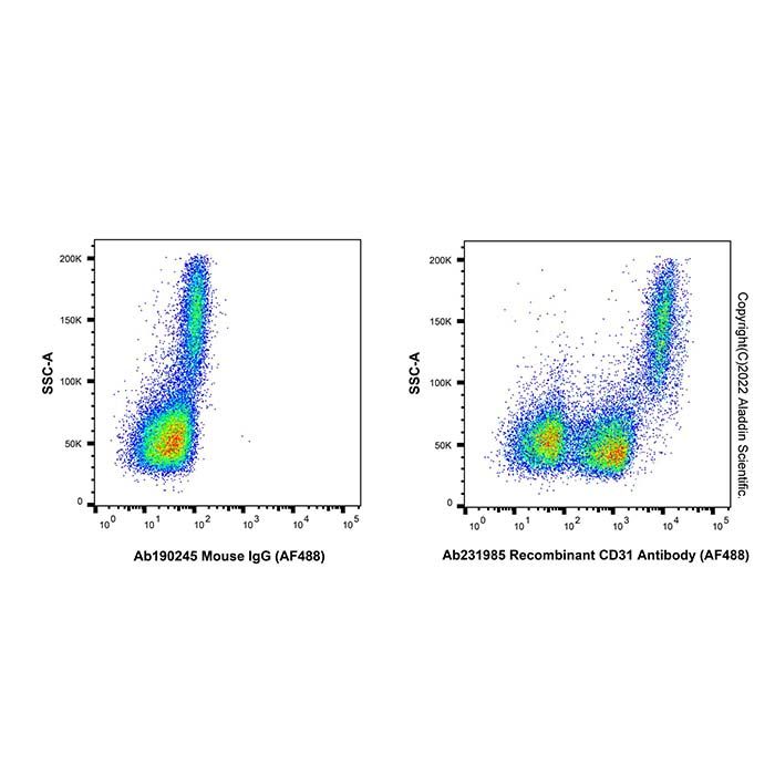 Recombinant CD31 Antibody (AF488) -    by Aladdin Scientific
