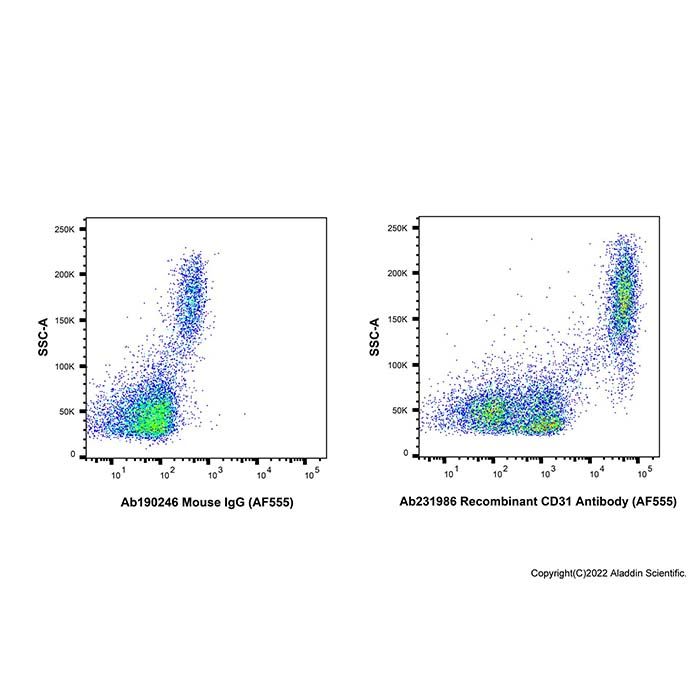 Recombinant CD31 Antibody (AF555) -    by Aladdin Scientific