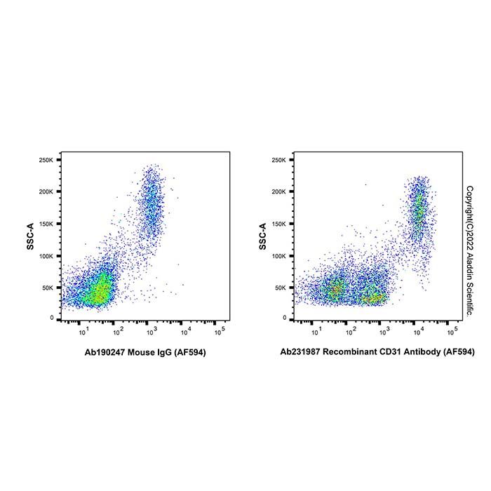 Recombinant CD31 Antibody (AF594) -    by Aladdin Scientific