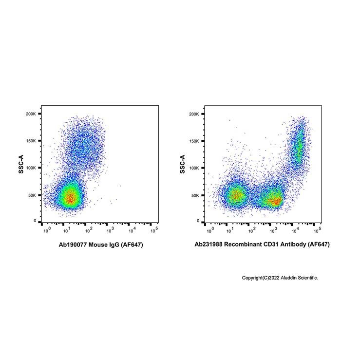 Recombinant CD31 Antibody (AF647) -    by Aladdin Scientific