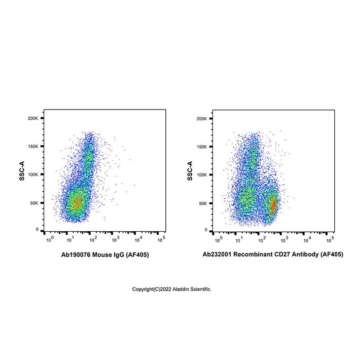 Recombinant CD27 Antibody (AF405) -    by Aladdin Scientific