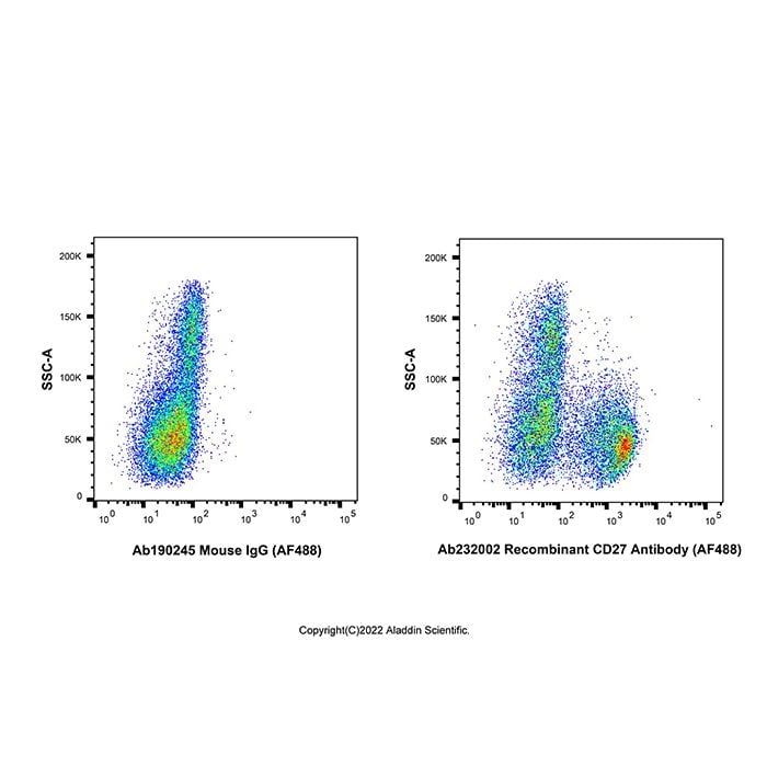 Recombinant CD27 Antibody (AF488) -    by Aladdin Scientific