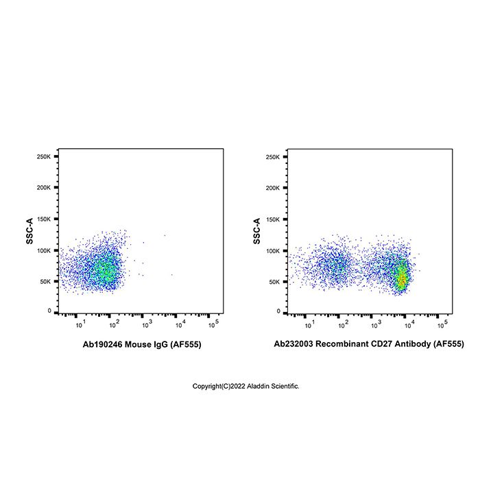 Recombinant CD27 Antibody (AF555) -    by Aladdin Scientific