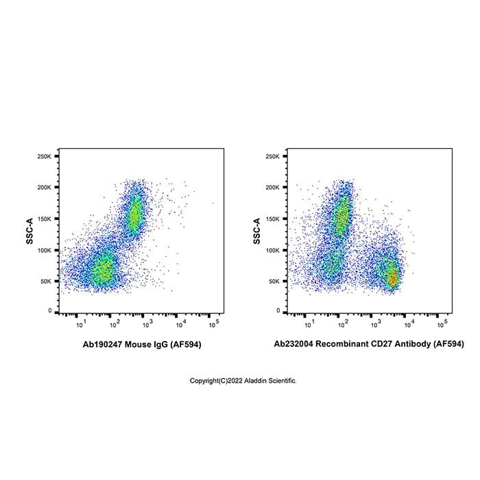 Recombinant CD27 Antibody (AF594) -    by Aladdin Scientific