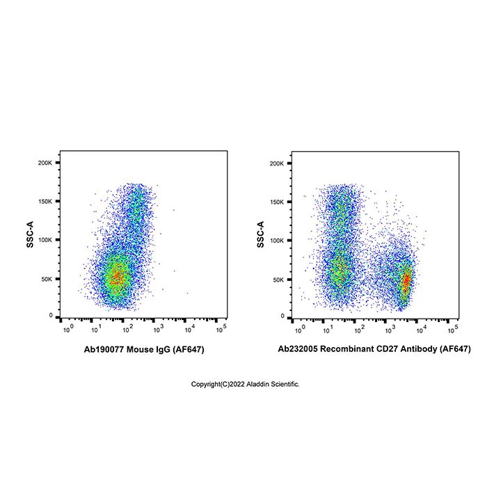 Recombinant CD27 Antibody (AF647) -    by Aladdin Scientific