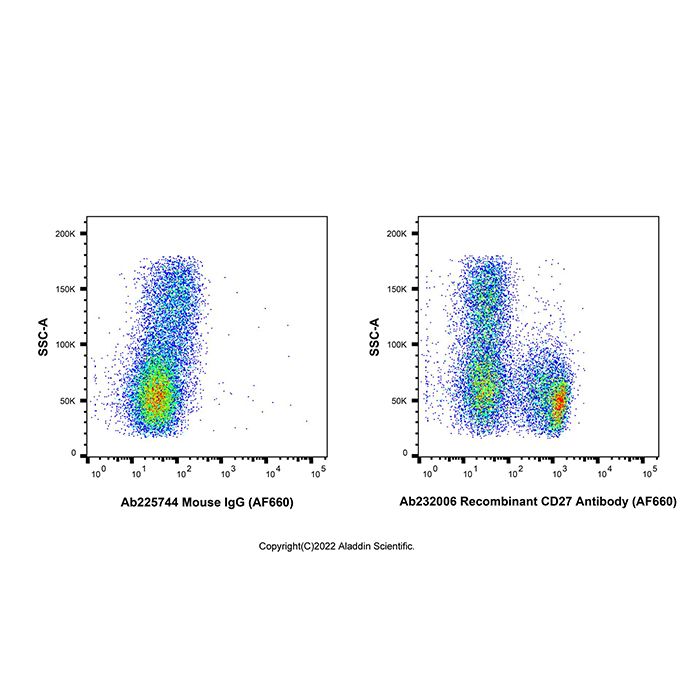Recombinant CD27 Antibody (AF660) -    by Aladdin Scientific