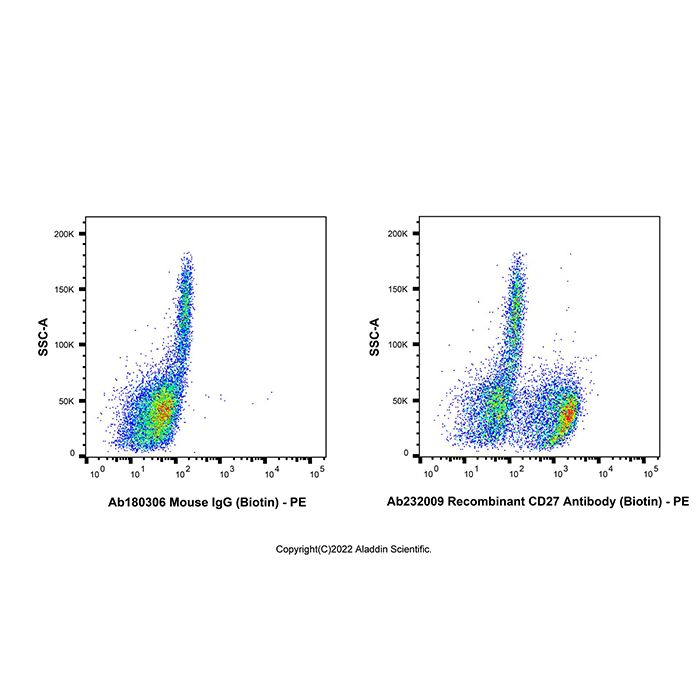 Recombinant CD27 Antibody (Biotin) -    by Aladdin Scientific