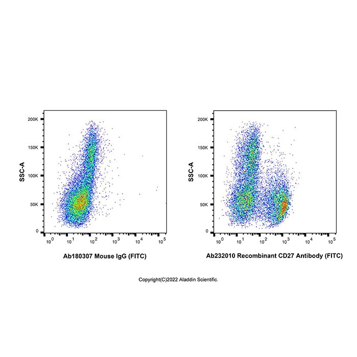 Recombinant CD27 Antibody (FITC) -    by Aladdin Scientific