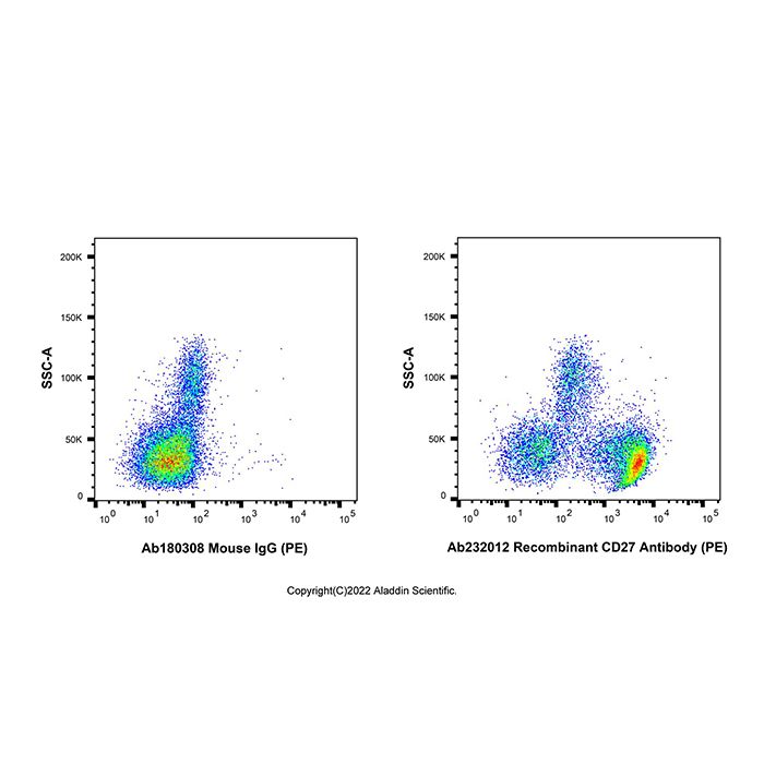 Recombinant CD27 Antibody (PE)  -    by Aladdin Scientific
