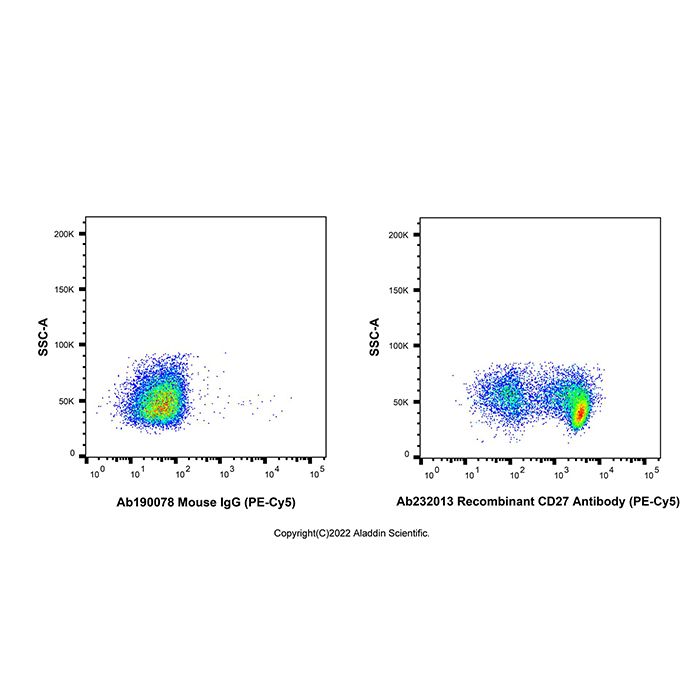 Recombinant CD27 Antibody (PE-Cy5) -    by Aladdin Scientific