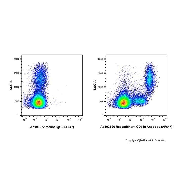 Recombinant CD11c Antibody (AF647) -    by Aladdin Scientific