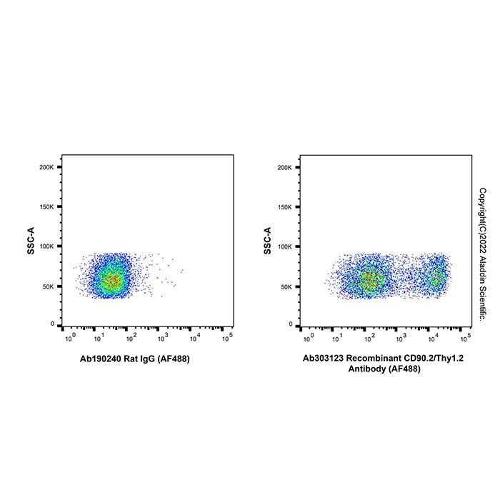 Recombinant CD90.2/Thy1.2 Antibody (AF488) -    by Aladdin Scientific