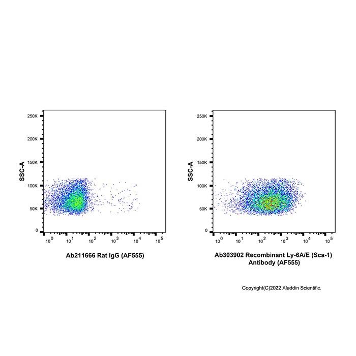 Recombinant Ly-6A/E(Sca-1) Antibody (AF555) -    Ab303902 by Aladdin Scientific