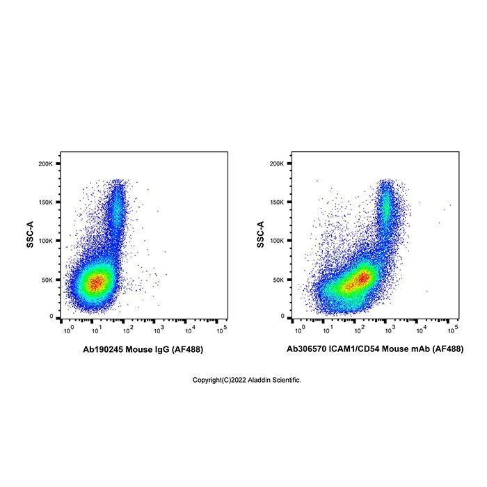 ICAM1/CD54 Mouse mAb (AF488) -    Ab306570 by Aladdin Scientific