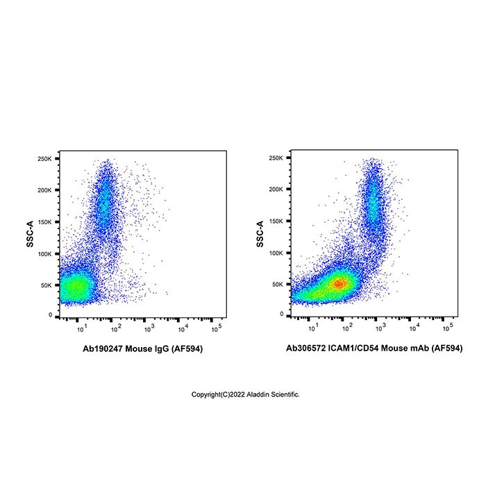 ICAM1/CD54 Mouse mAb (AF594) -    Ab306572 by Aladdin Scientific