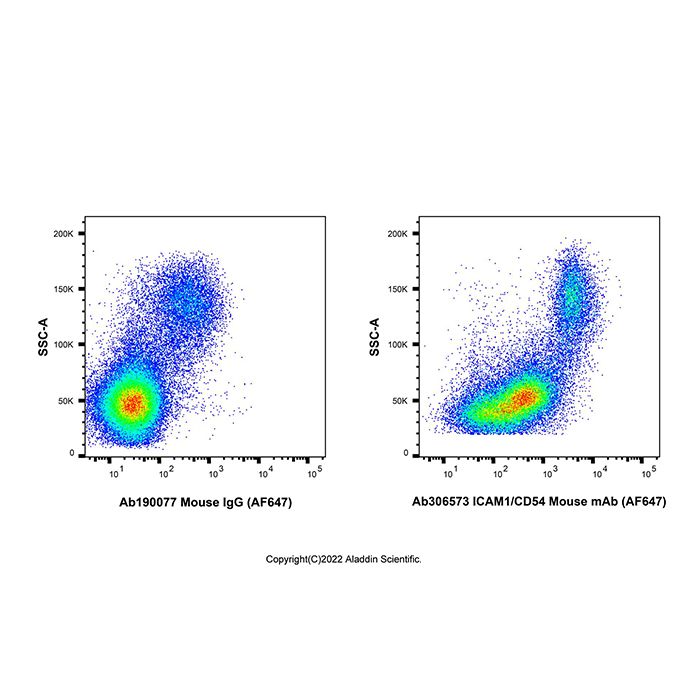 ICAM1/CD54 Mouse mAb (AF647) -    Ab306573 by Aladdin Scientific