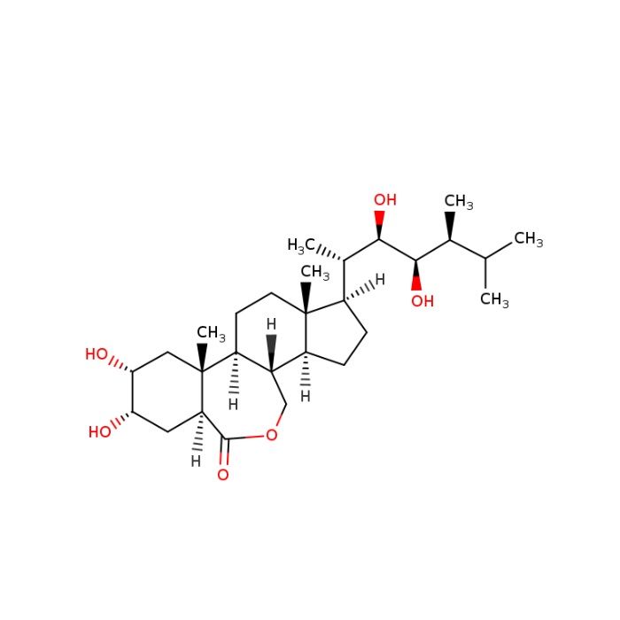 Brassinolide - analytical standard CAS No(72962-43-7) by Aladdin Scientific
