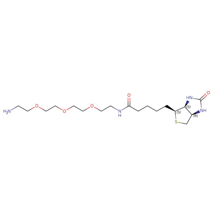 (+)-Biotin-PEG₃-amine - Moligand™,≥95% CAS No(359860-27-8) B122227 by Aladdin Scientific