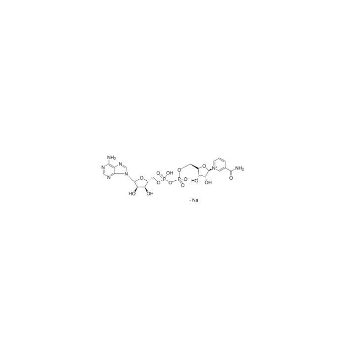β-Nicotinamide adenine dinucleotide sodium salt（β-NAD） - ≥95%(HPLC) CAS No(20111-18-6) by Aladdin Scientific