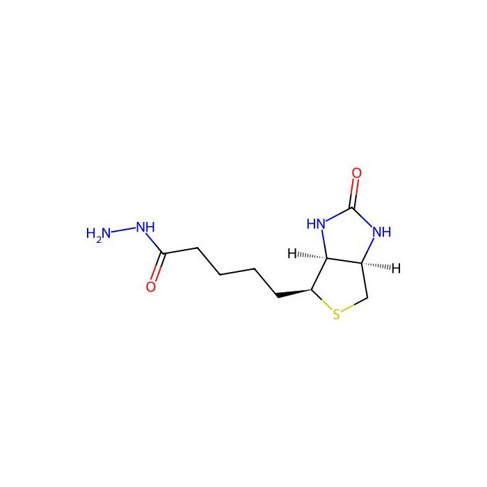 Biotin Hydrazide - Moligand™, 10 mM in DMSO CAS No(66640-86-6) by Aladdin Scientific