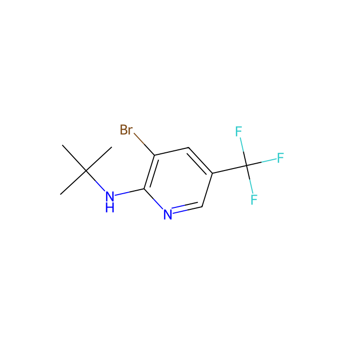 3-Bromo-2-(N-t-butylamino)-5-trifluoromethylpyridine - ≥98% CAS No(1280786-64-2) by Aladdin Scientific