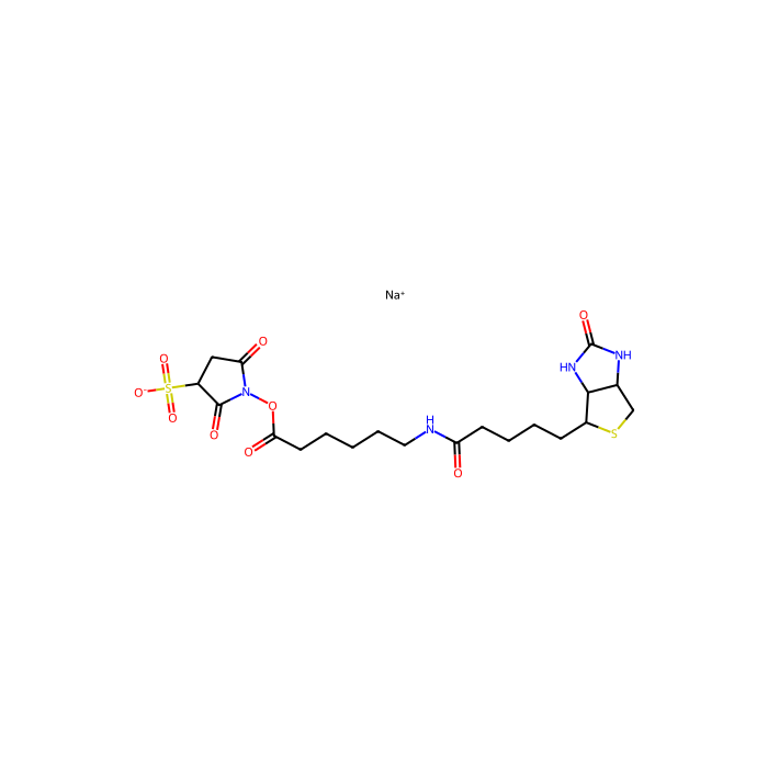 Biotinamidohexanoic acid 3-sulfo-N-hydroxysuccinimide ester sodium salt - ≥95% CAS No(127062-22-0) by Aladdin Scientific