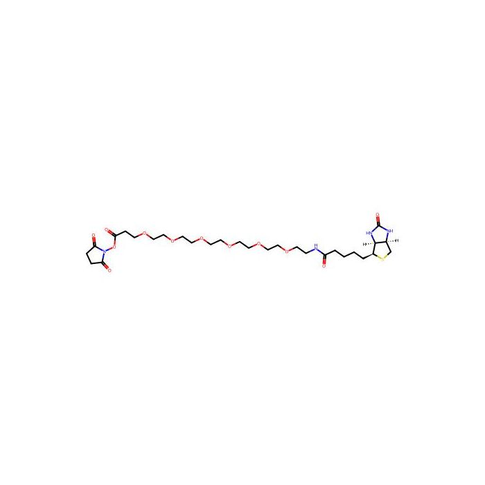 Biotin-PEG6-NHS ester - ≥98% CAS No(2055045-04-8) by Aladdin Scientific